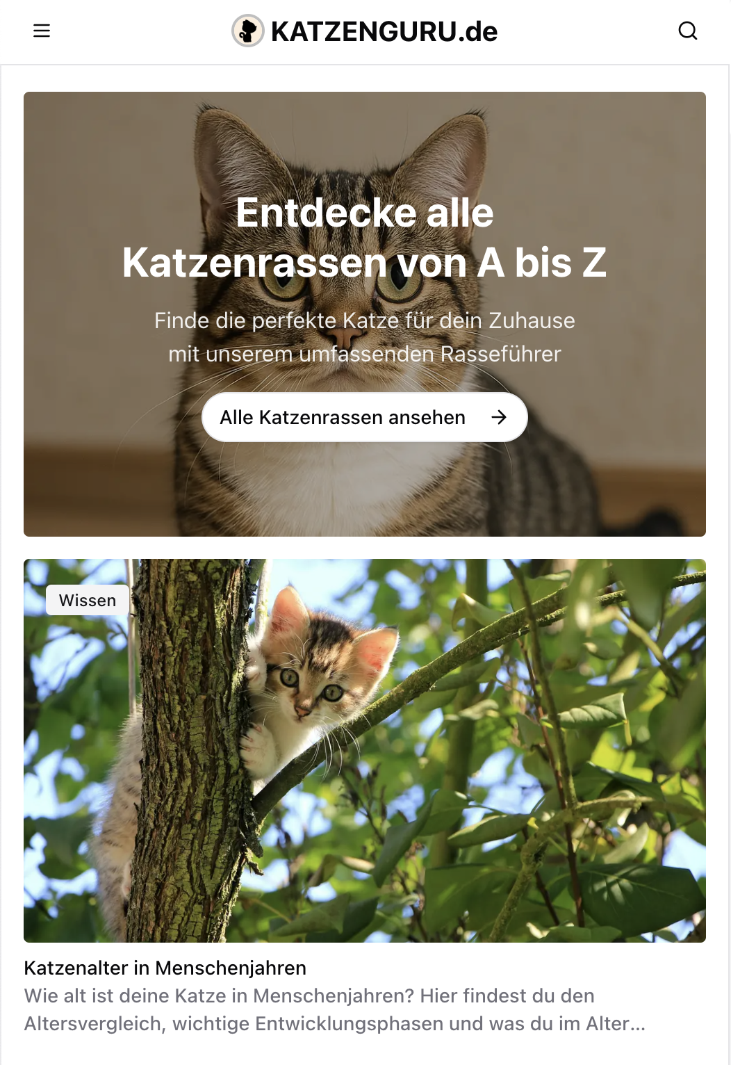 Cats - katzenguru.de